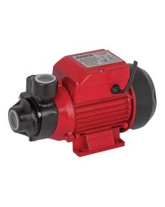 Raider baštenska pumpa RD-WP60 500W