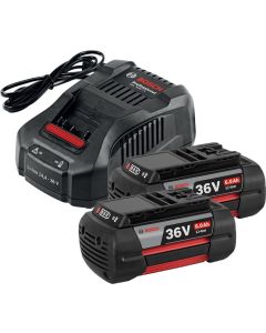 Starter set 2x 6.0Ah + GAL 3680 CV Bosch